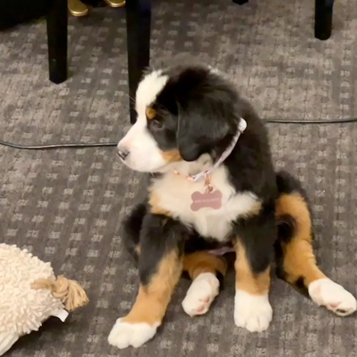 Coco