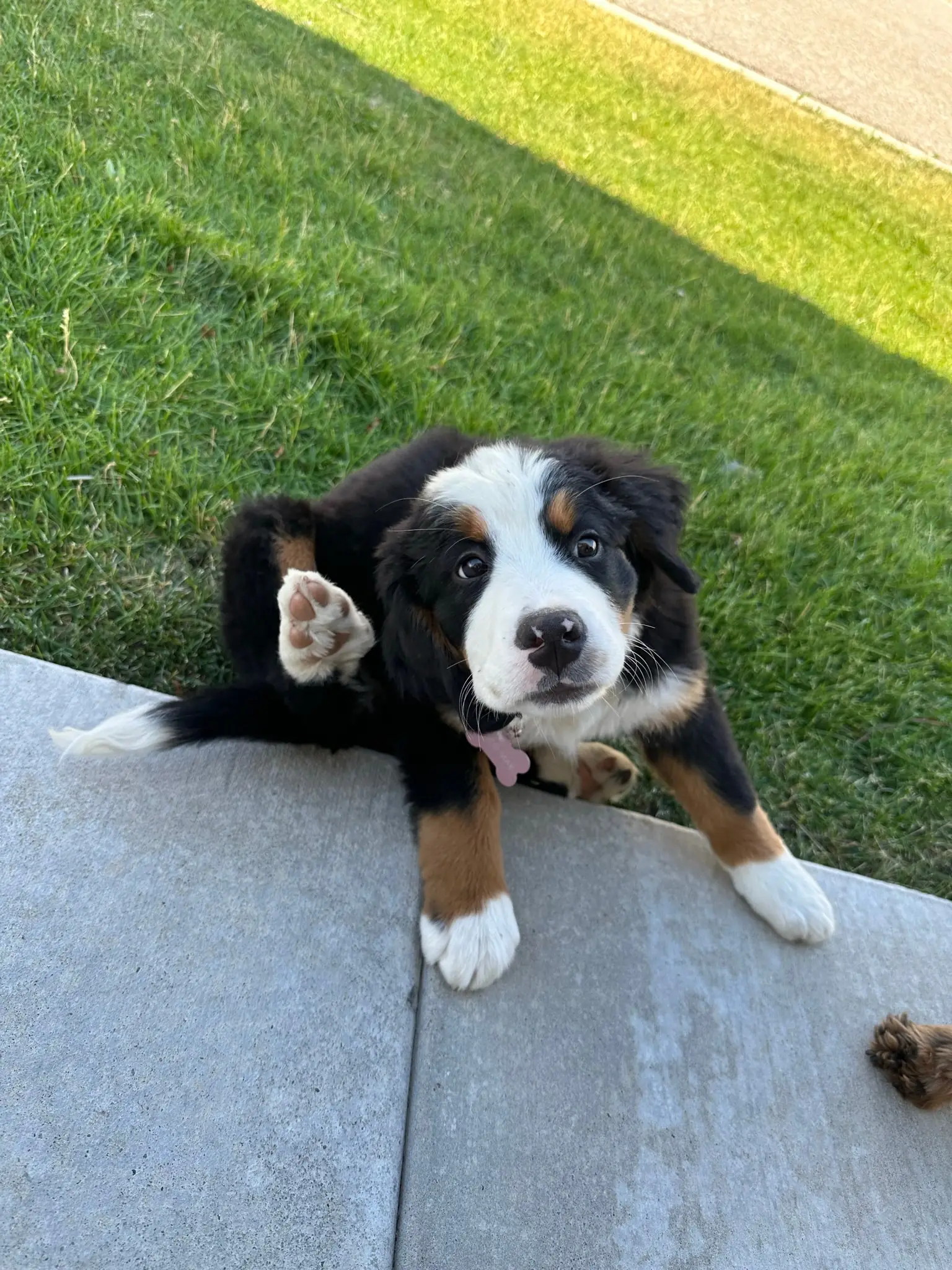 Coco