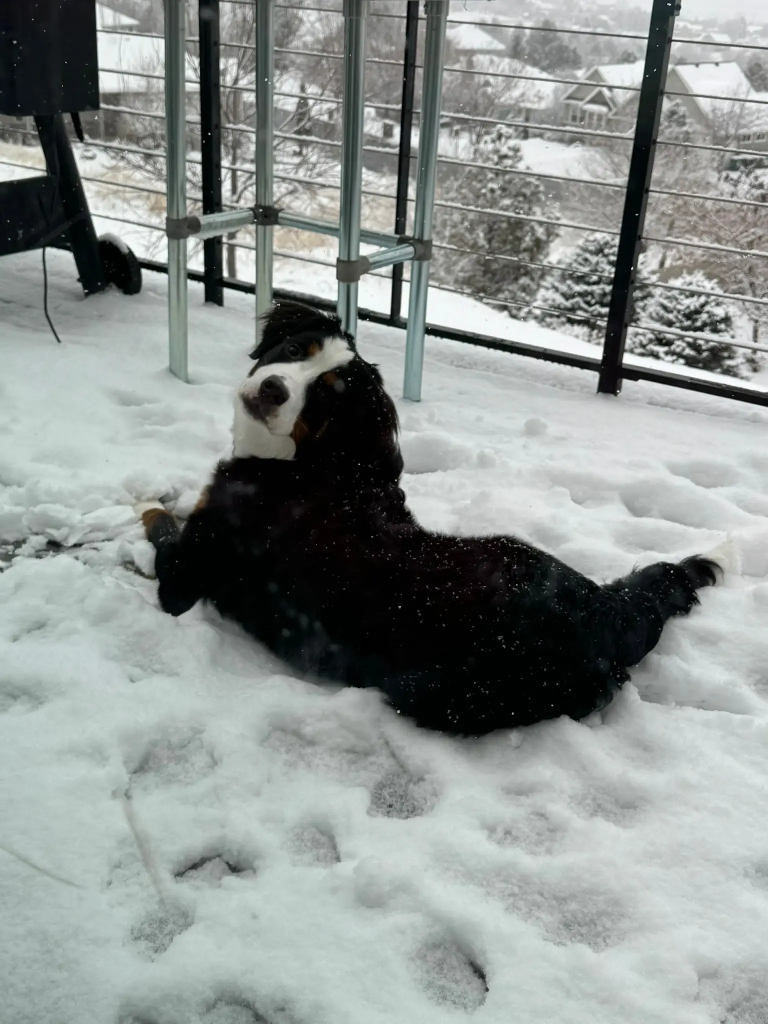 Coco