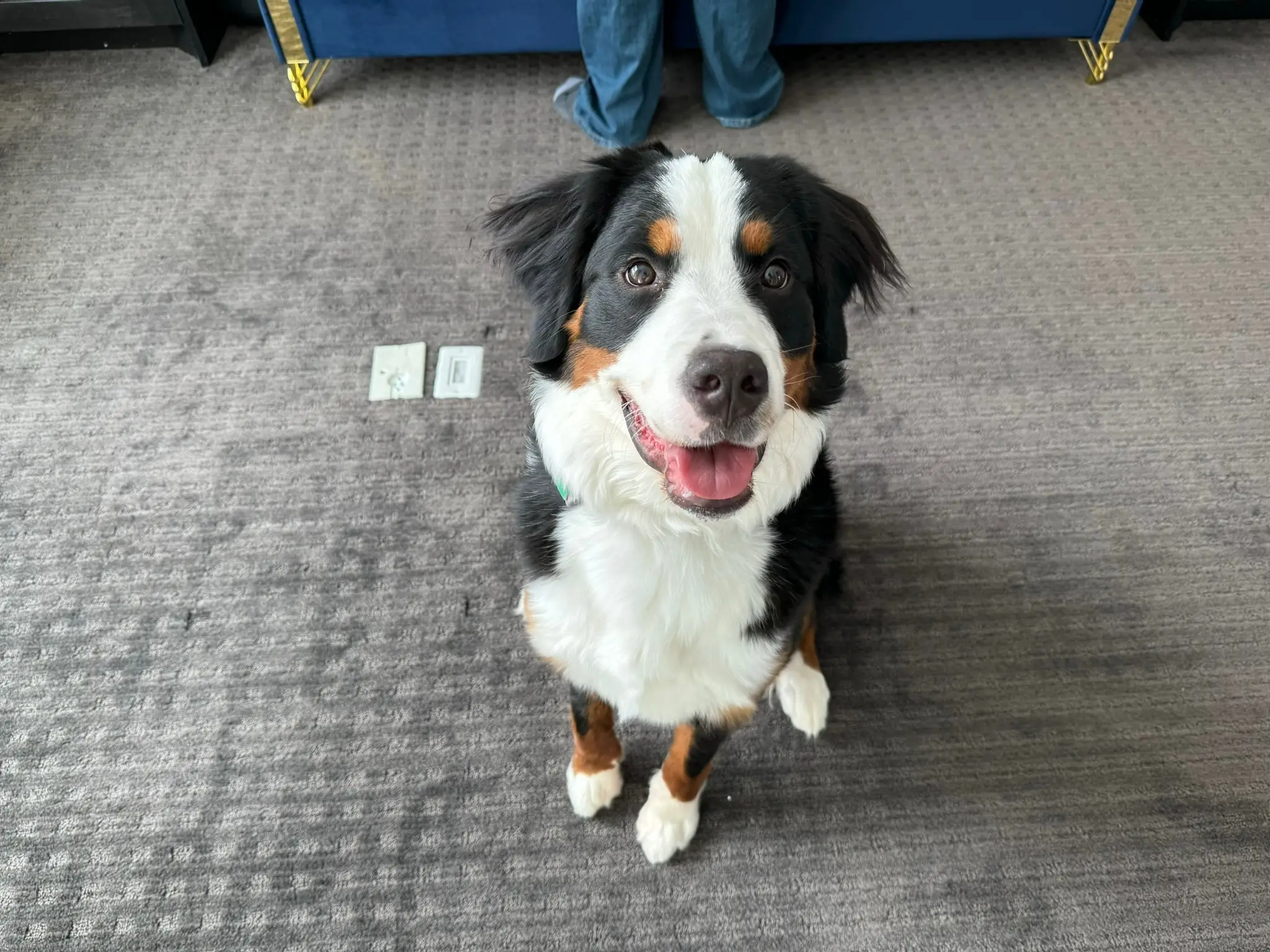 Coco