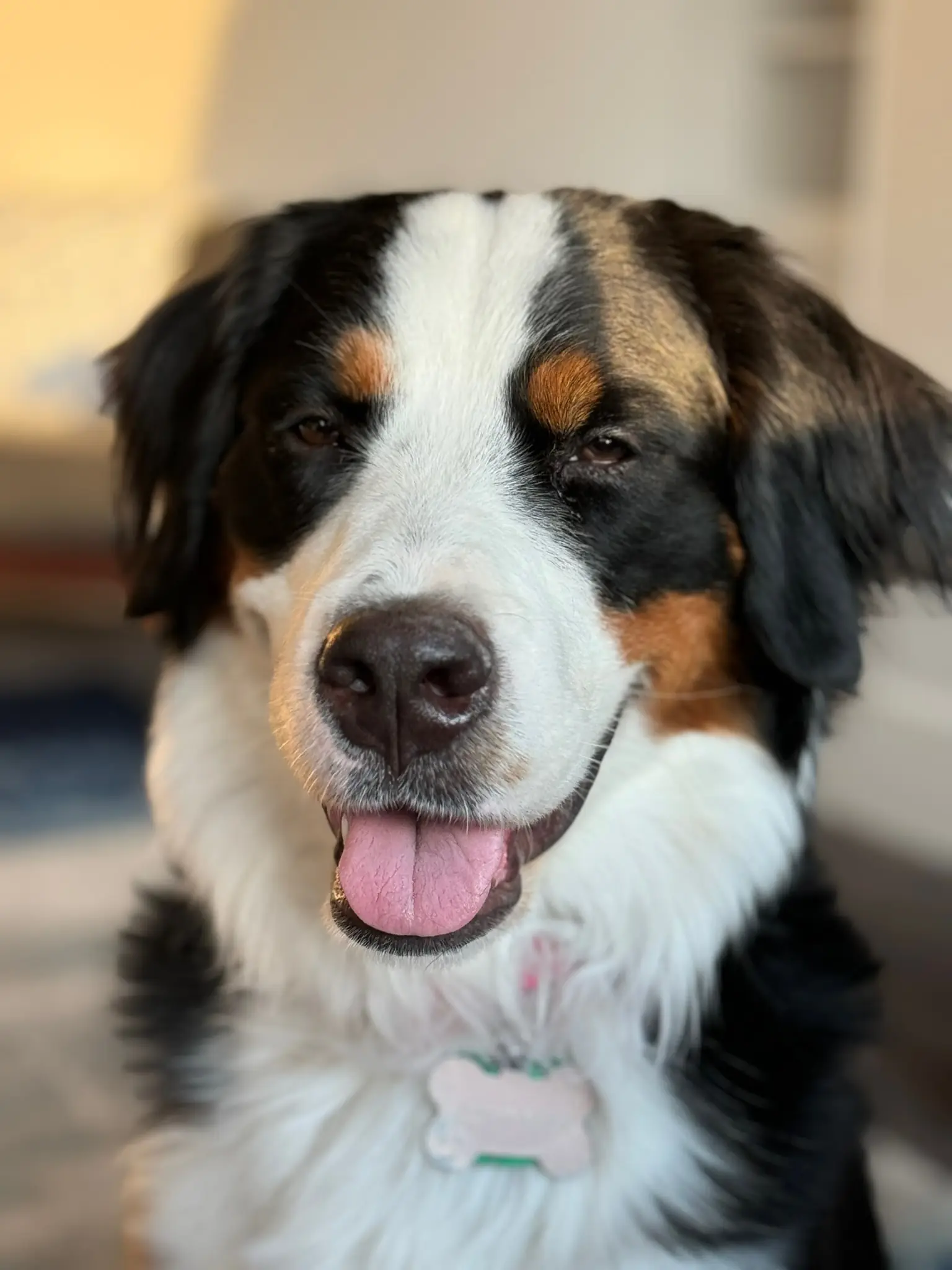 Coco