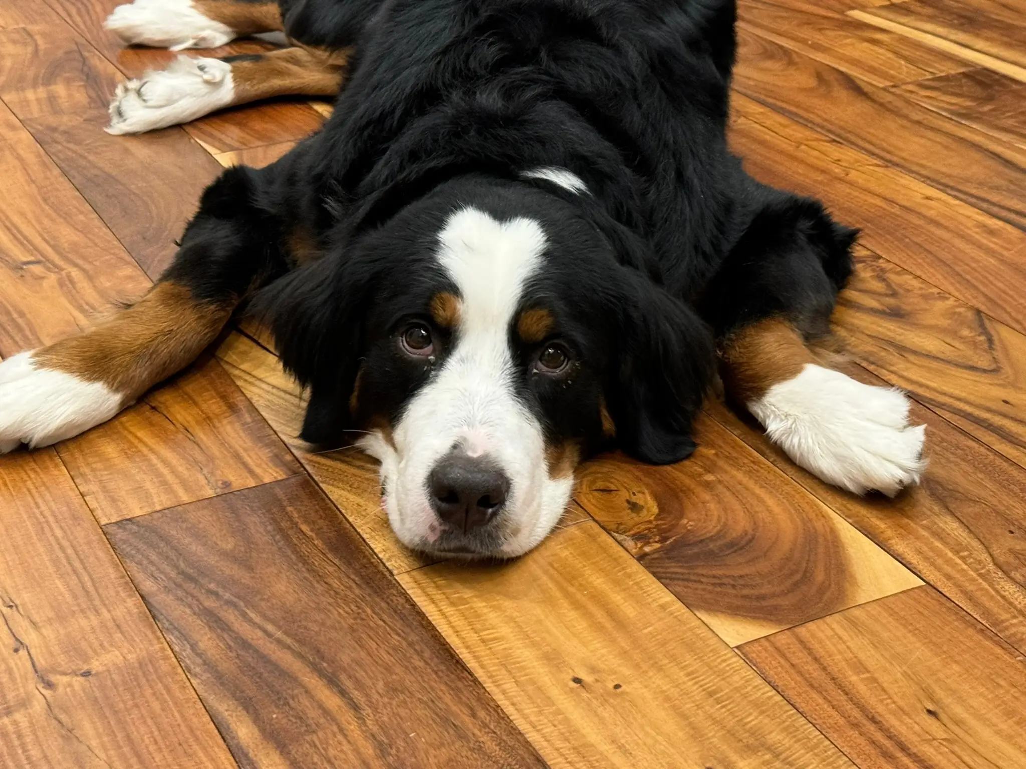 Coco