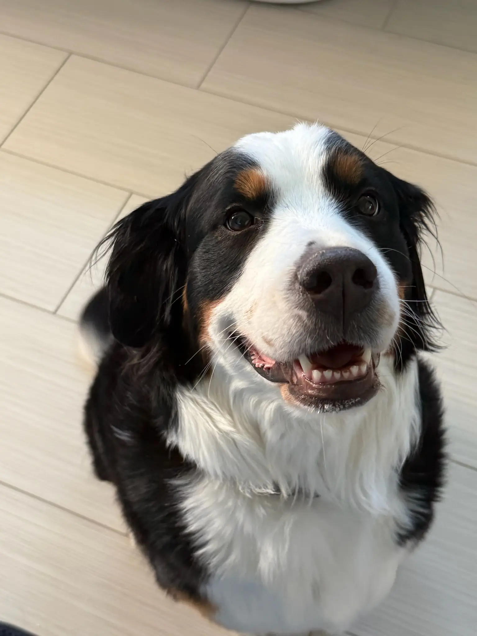 Coco